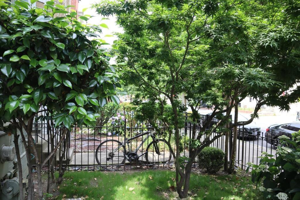 3-Bedroom House With Cute Patio Explore Dc On Foot Washington Dış mekan fotoğraf